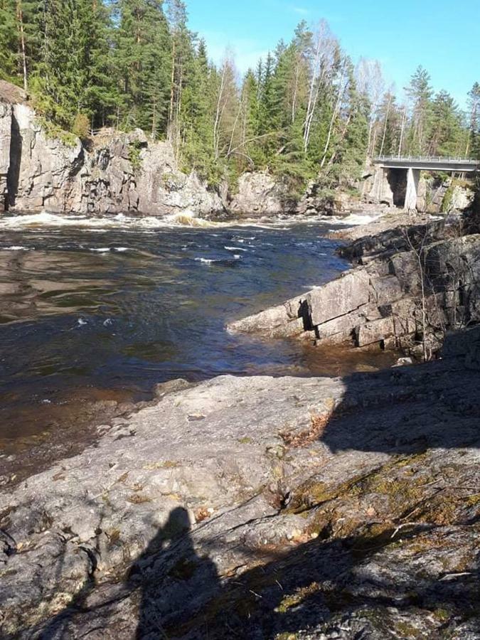 Апартаменты Fossekroa Svarstad (Vestfold)